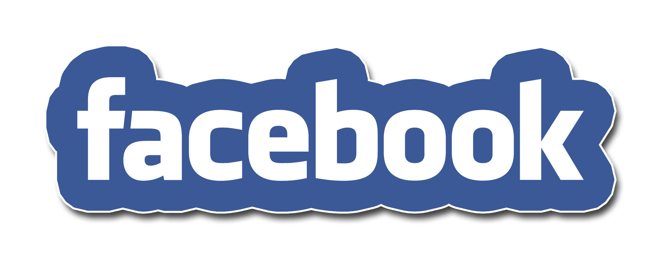 icone facebook